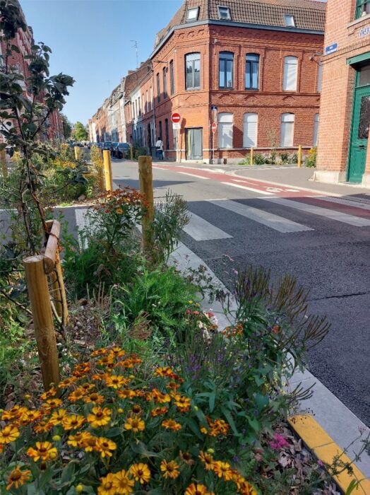 Vue d'une rue de Roubaix végétalisée, montrant des parterres de fleurs colorées (jaunes et violettes) et de jeunes arbres bordant le trottoir. Un passage piéton blanc et une bande cyclable rouge sont visibles sur la chaussée. Des bâtiments en briques rouges traditionnels se dressent le long de la rue sous un ciel bleu clair.